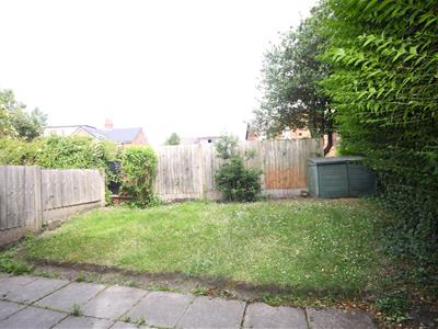 Picture 12